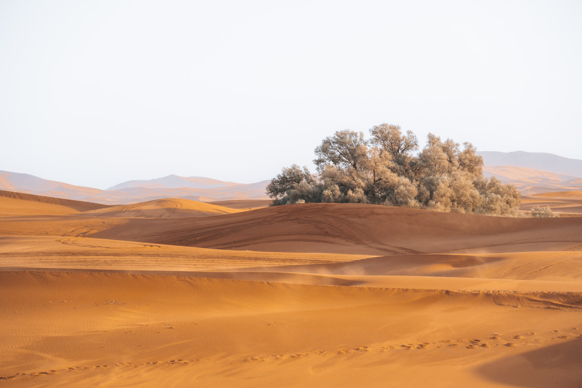 L’appel du Sahara : une aventure marocaine hors du temps